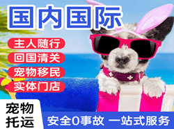 花果山航空托运国际宠物托运 【国